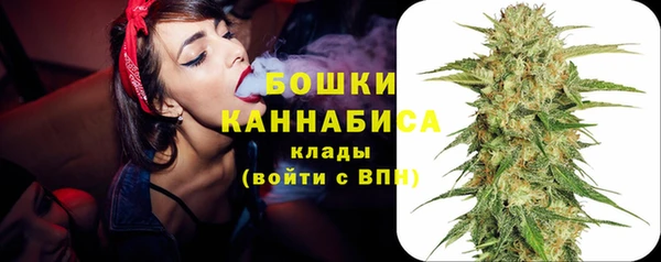 PSILOCYBIN Верхний Тагил